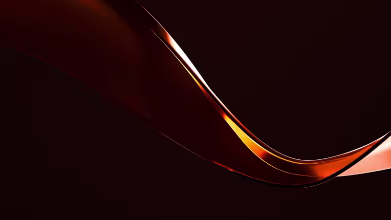 puntus_key_visual-1.jpg